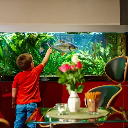 Hotel Concorde