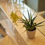 Concorde Hotel 4*