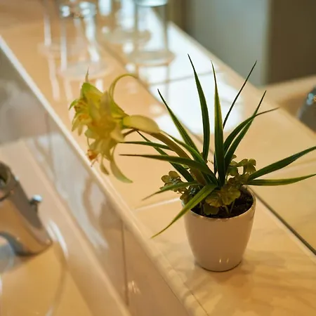 Concorde Hotel 4*